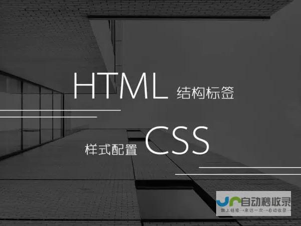 网页制作入门到精通：从基础到高级技巧