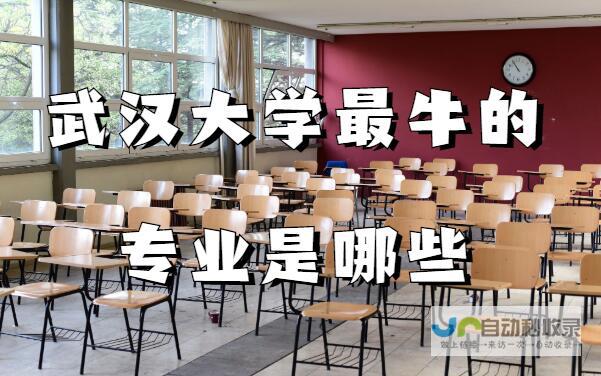 选择武汉专业的网站建设公司:提升品牌形象,引爆线上商机
